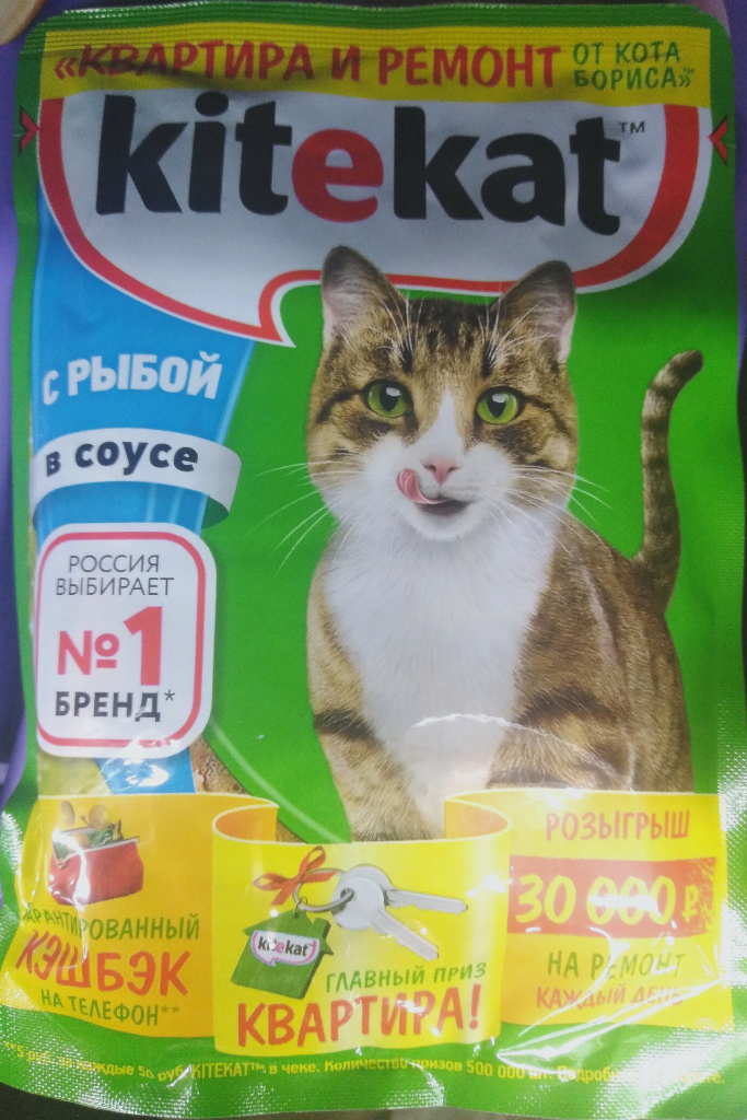Акция от Kitekat – выиграй квартиру и ремонт от кота Бориса